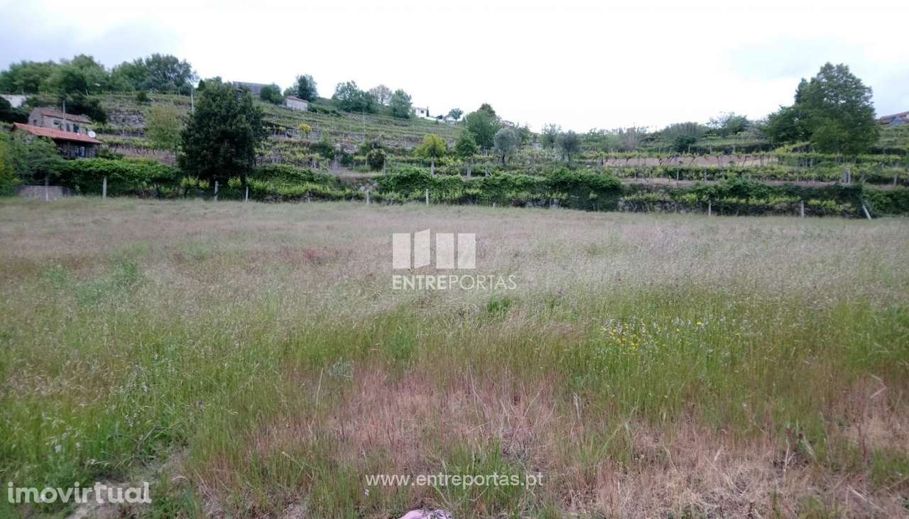 Venda Terreno, Gestaçô, Baião - Grande imagem: 3/6