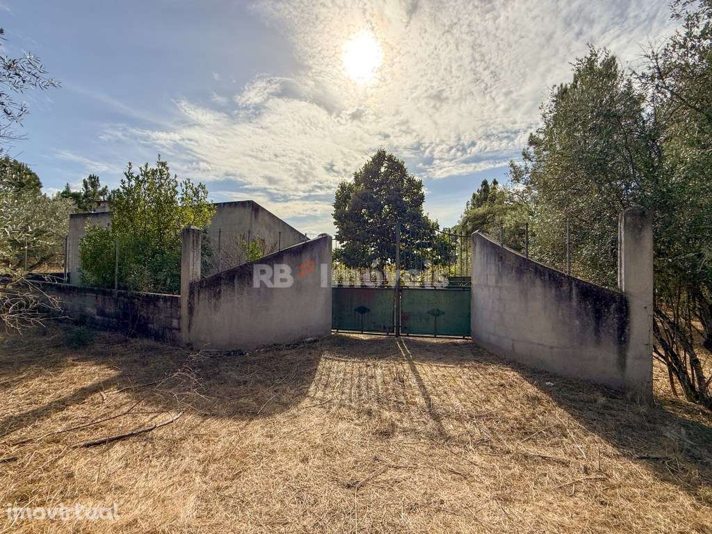 Quintinha no Fojo - Grande imagem: 3/25