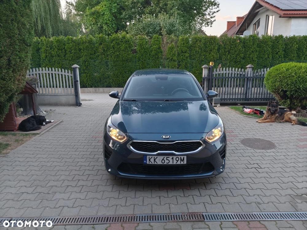 Kia Ceed - 1