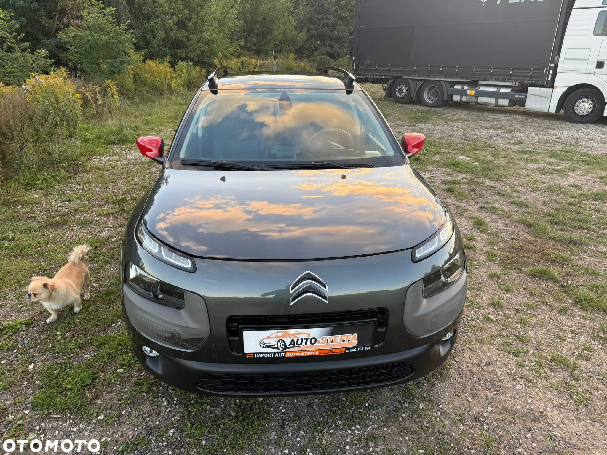 Citroën C4 Cactus BlueHDi 100 Stop&Start Live - 15