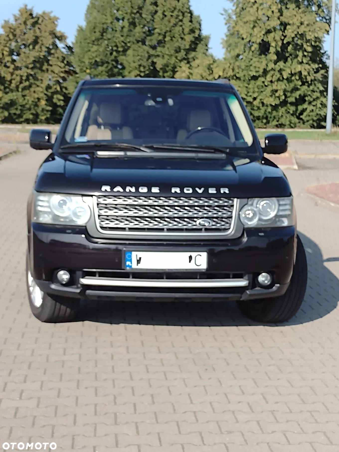Land Rover Range Rover 3.6TD V8 Vogue - 6