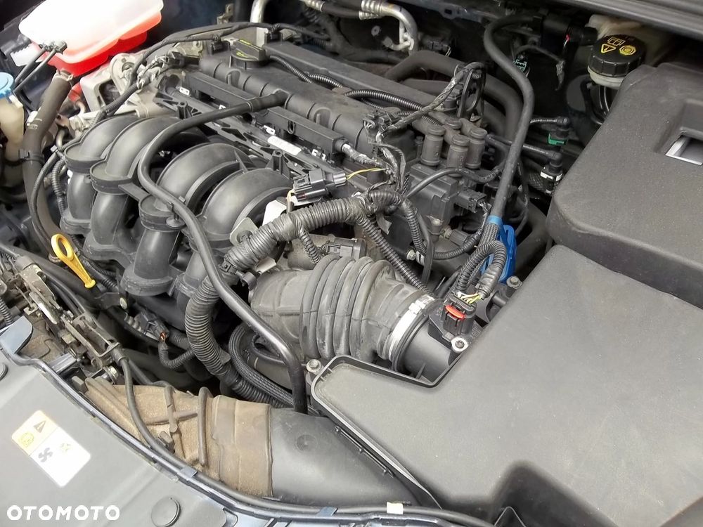 Ford Focus 1.6 Gold X (Edition) - 37