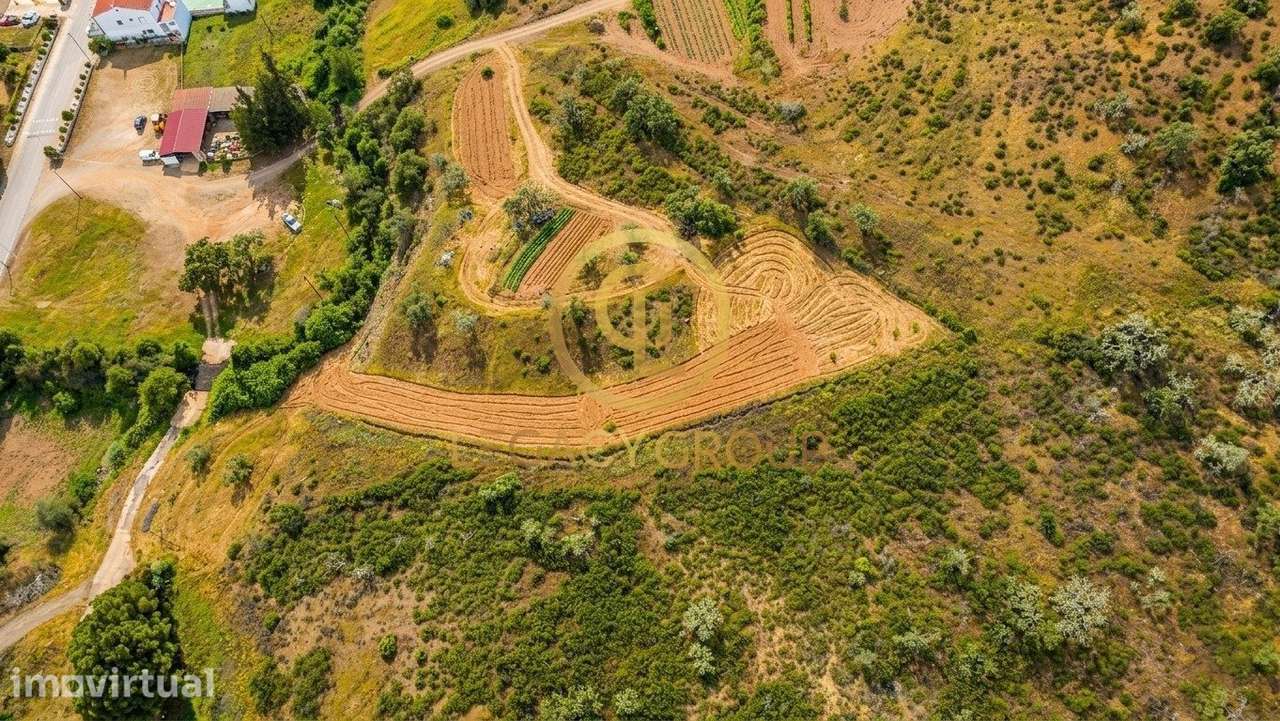 2 Terrenos Rústicos às portas de Vaqueiros, Alcoutim. - Grande imagem: 3/25