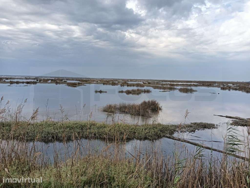 Terreno para construção com deslumbrantes vistas sobre a ria - Aveiro - Grande imagem: 2/14