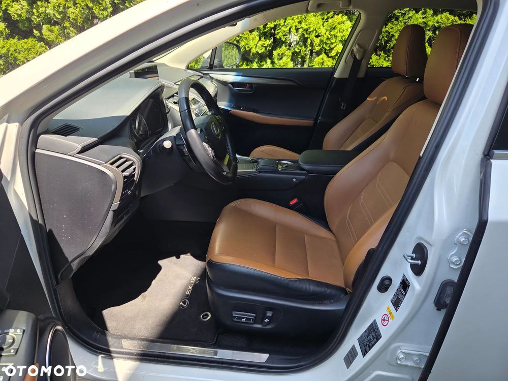 Lexus NX 300 Comfort AWD - 15