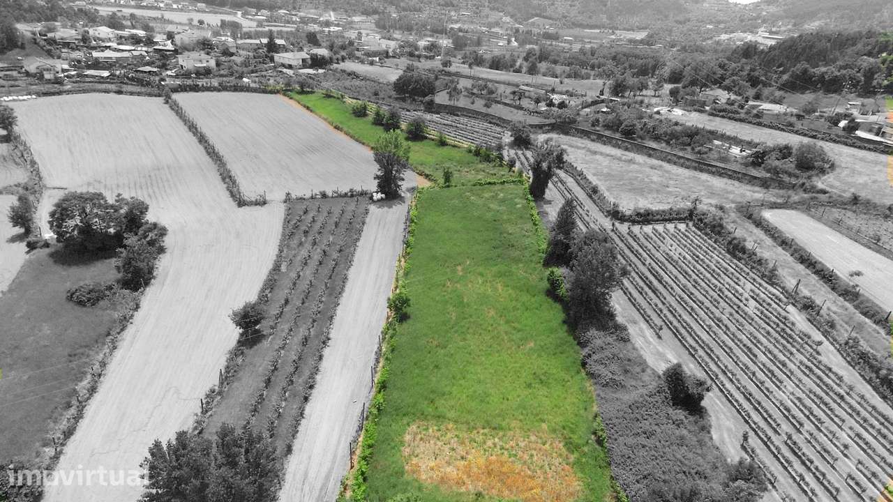 Terreno Agrícola  em Longos/Guimarães - Grande imagem: 3/10
