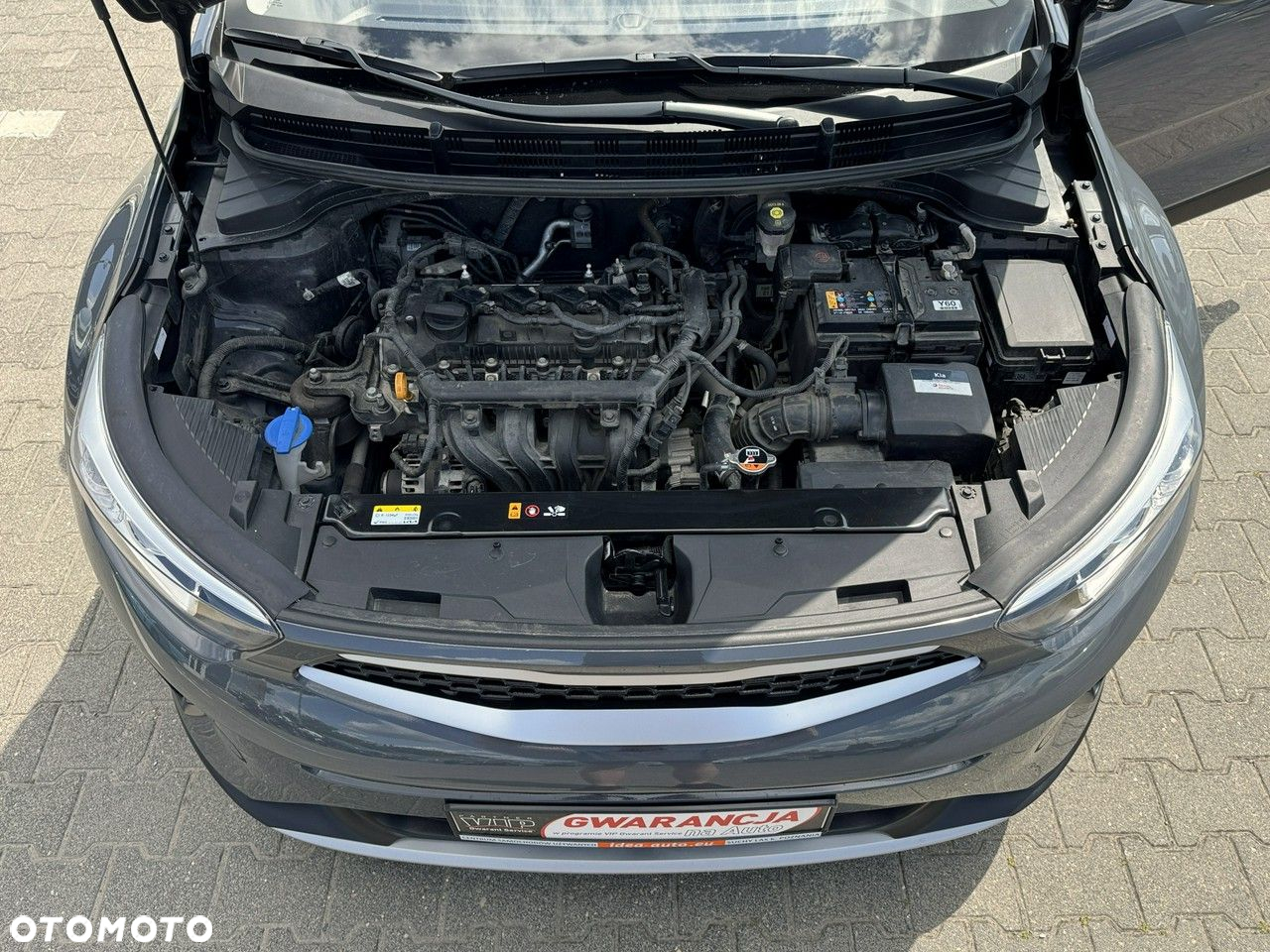 Kia Stonic 1.2 L - 15