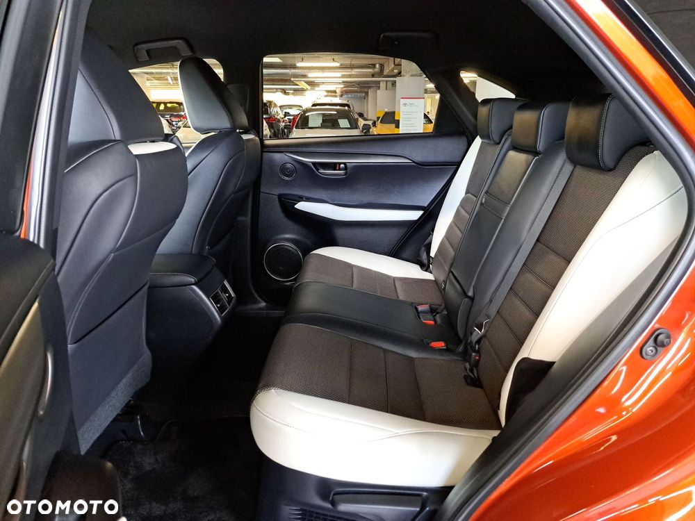 Lexus NX 300h F Sport Edition AWD - 13