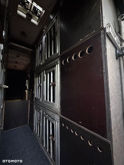 Mercedes-Benz Sprinter 313 - 9