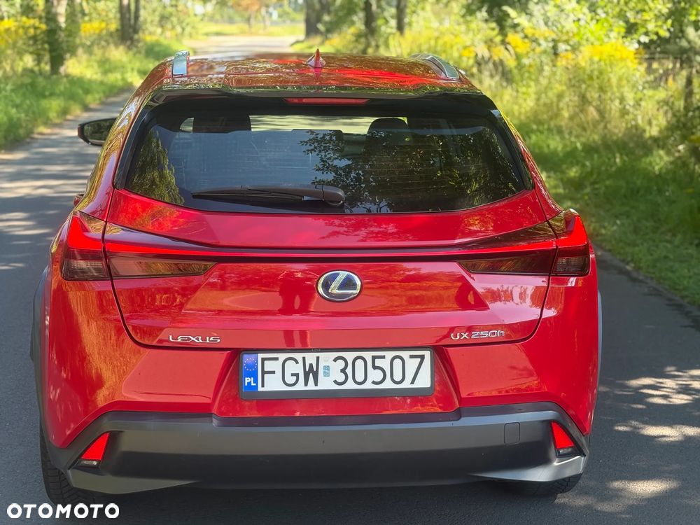 Lexus UX - 20
