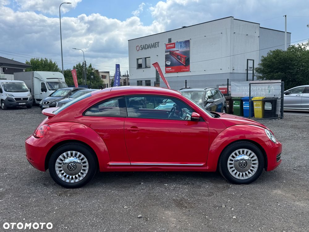 Volkswagen Beetle - 14