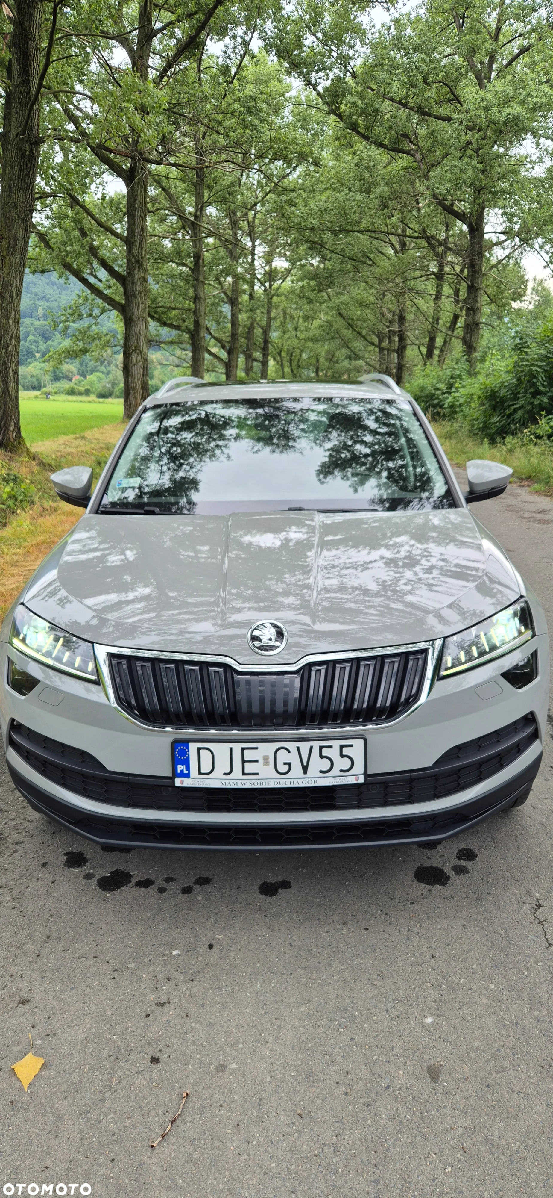 Skoda Karoq 1.6 TDI 4x2 Style - 5