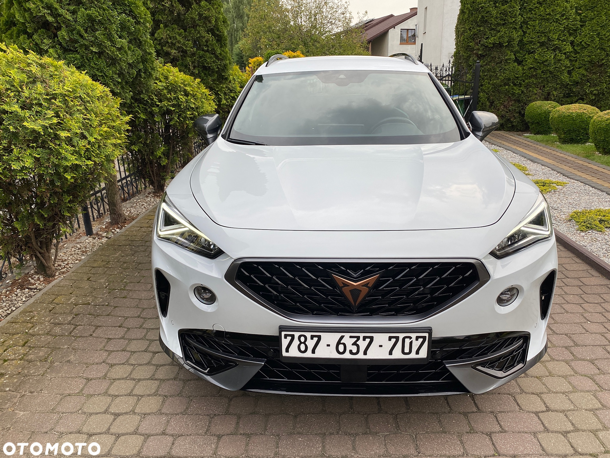 Cupra Formentor 1.5 TSI DSG - 6