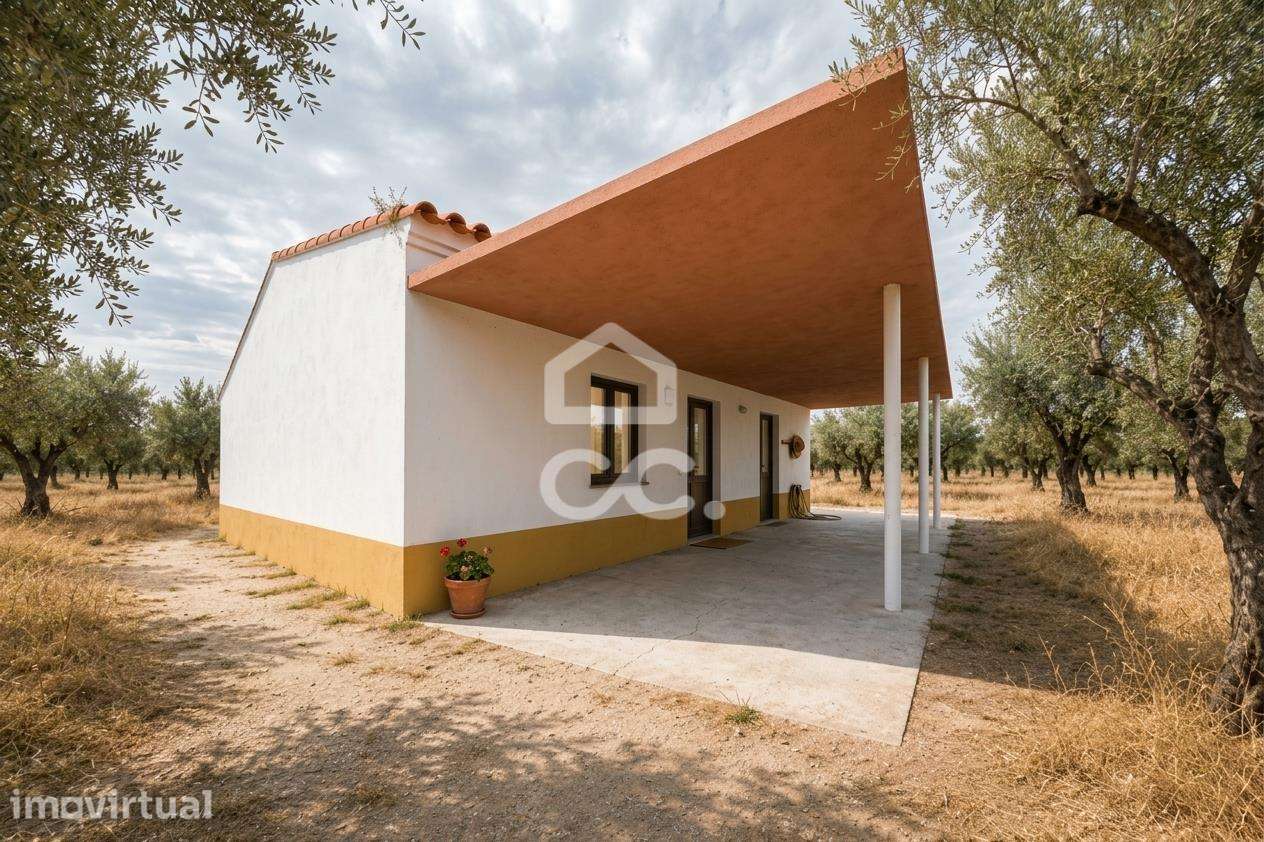 Terreno com Projeto de Moradia | Santa Eulália, Elvas - Grande imagem: 4/60