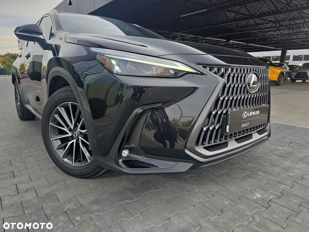 Lexus NX 350h Prestige 2WD - 35