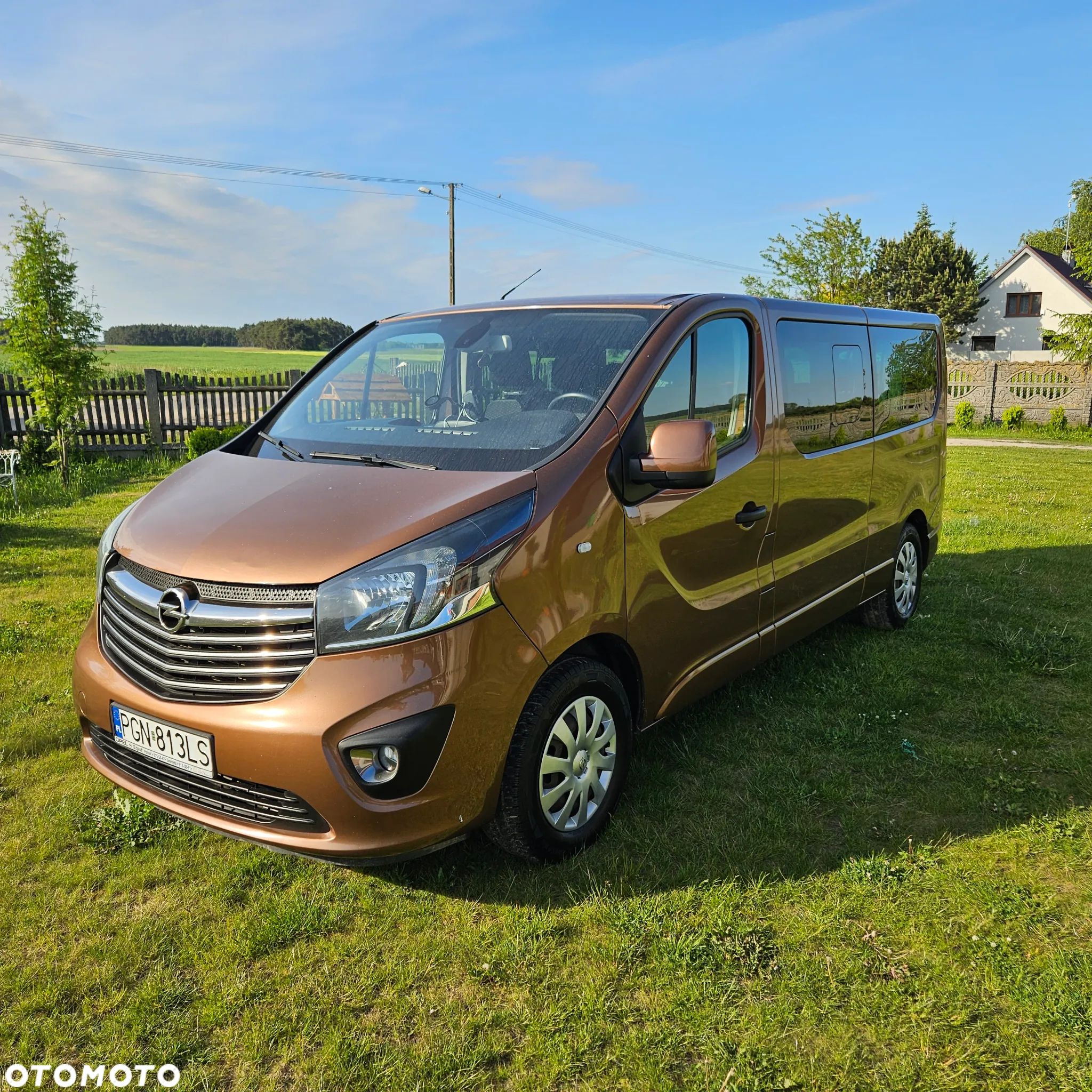 Opel Vivaro - 1