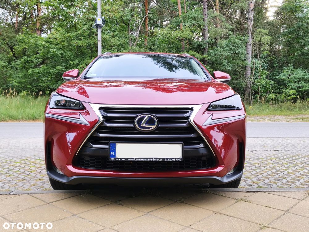 Lexus NX 300h Comfort AWD - 3