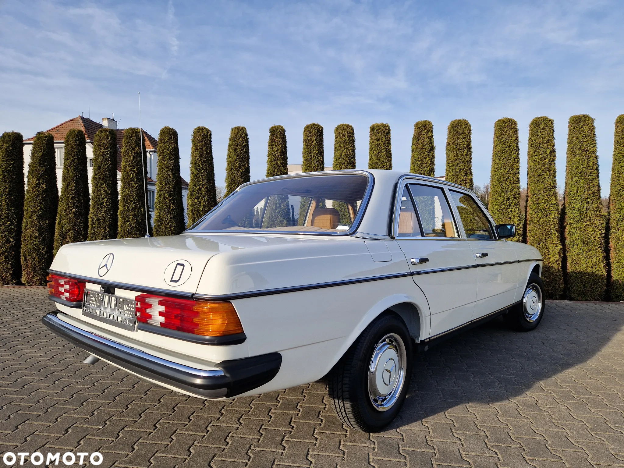 Mercedes-Benz W123 - 10