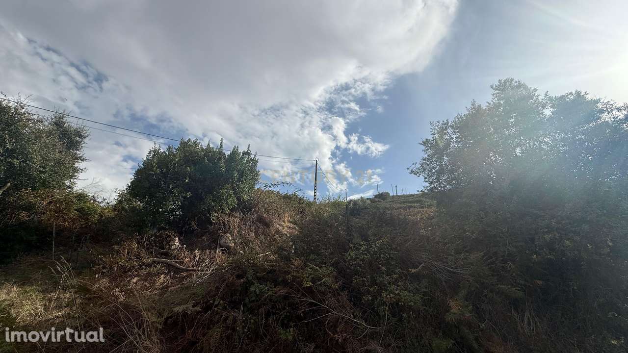 Oportunidade única! Terreno Rustico em Loures - Grande imagem: 4/10