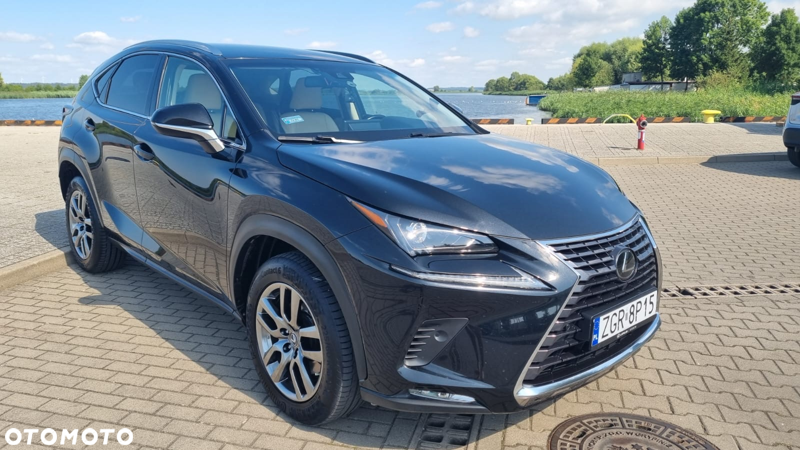Lexus NX 300 Comfort AWD - 2