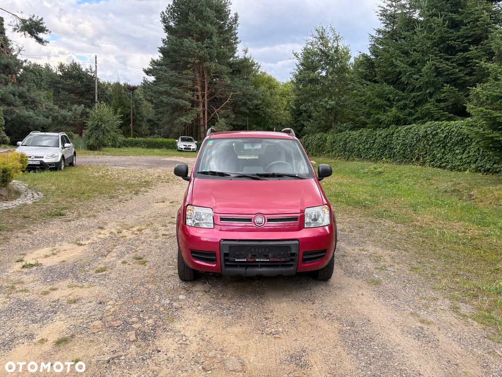 Fiat Panda 1.2 4x4 Classic - 2