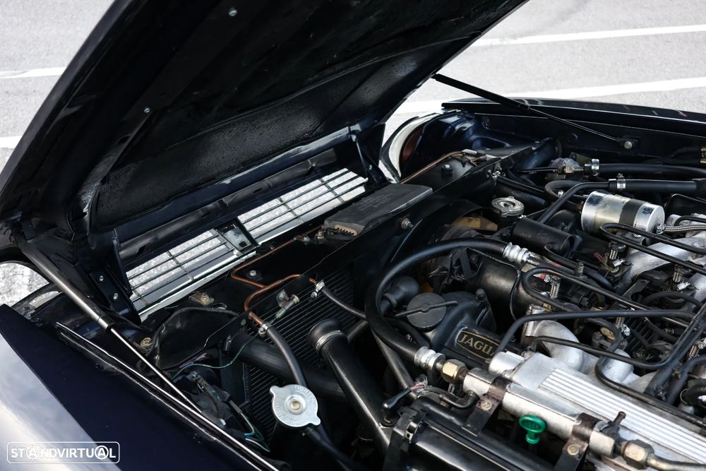 Jaguar XJS - 13