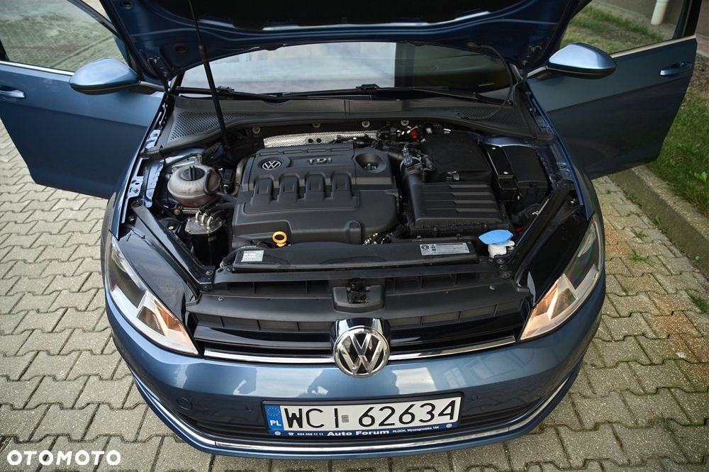Volkswagen Golf 1.6 TDI BMT Highline - 19