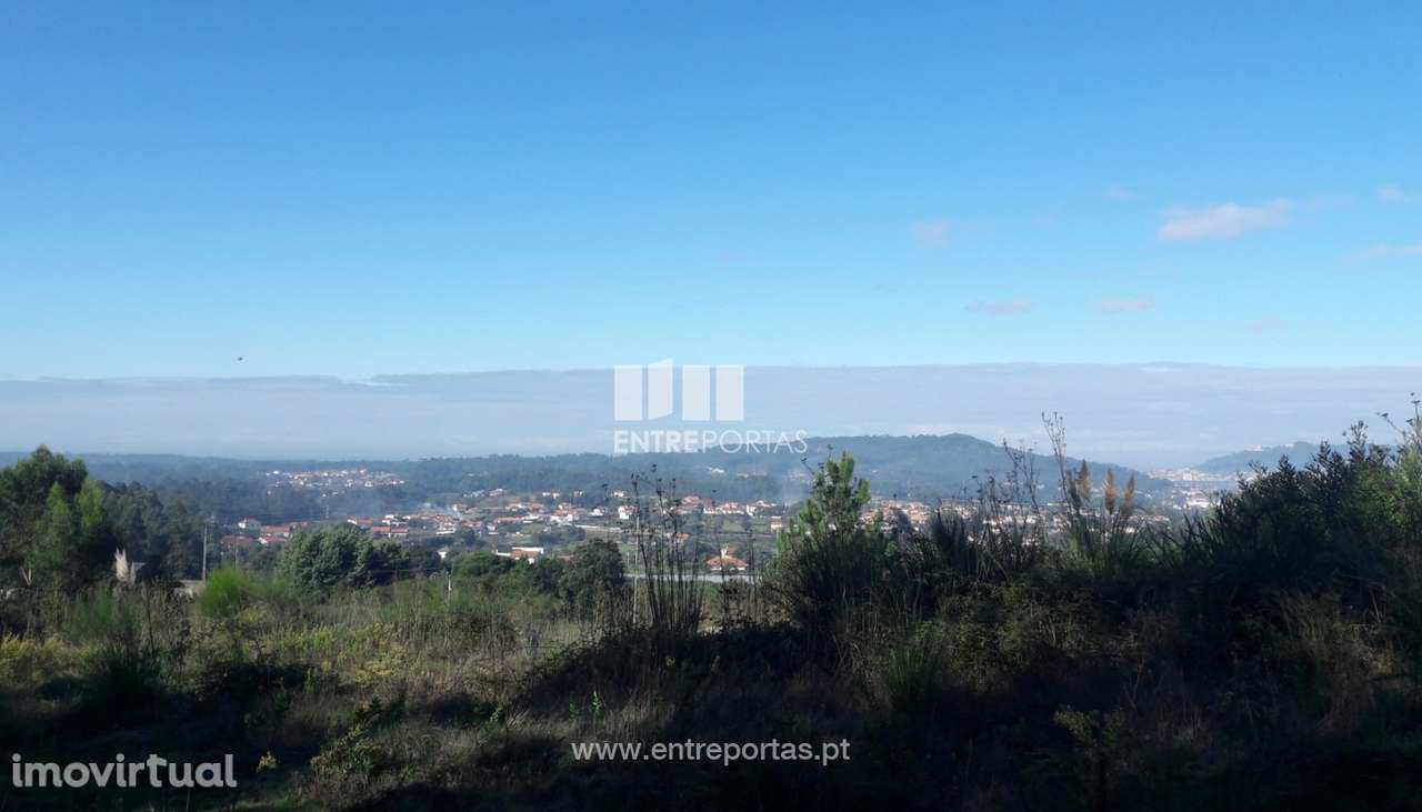 Venda de terreno florestal, Vila Franca, Viana do Castelo - Grande imagem: 2/30