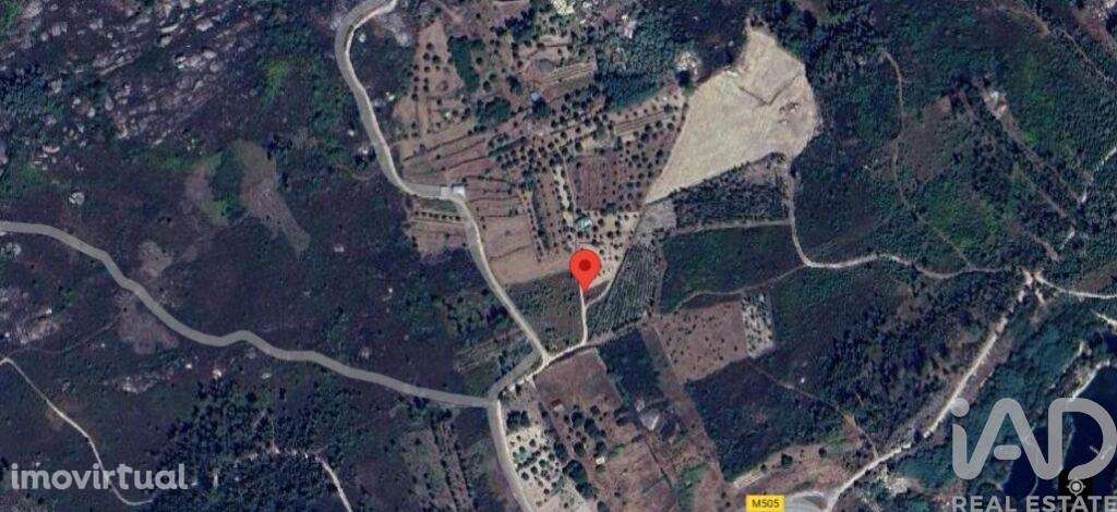 Terreno em Seixo da Beira de 14947,00 m2 - Grande imagem: 3/28