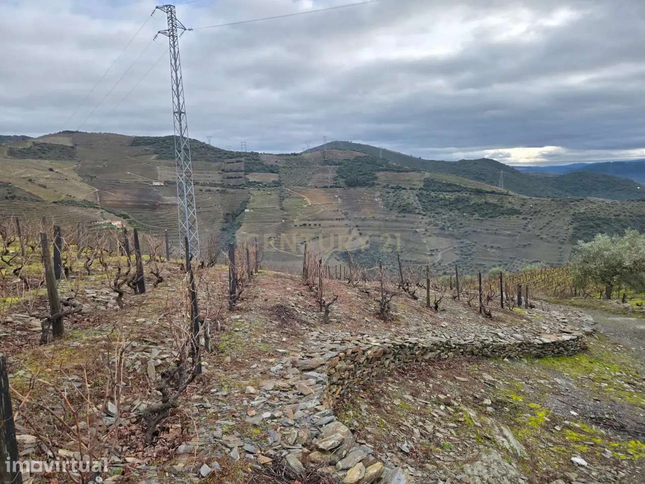Tesouro Rústico no Coração do Douro – Um Convite à Natureza e à Tradiç - Grande imagem: 5/13