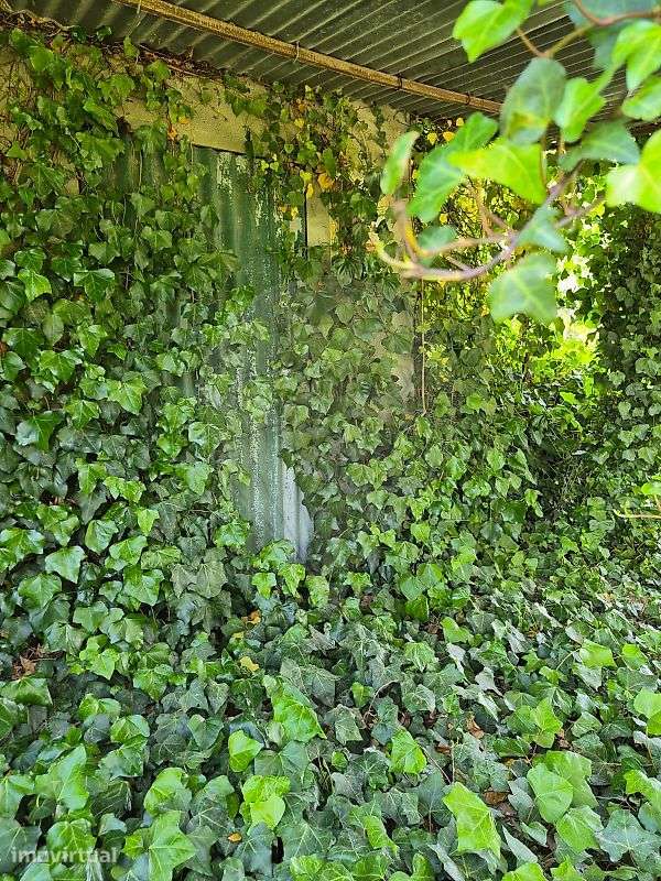 Terreno  para venda - Grande imagem: 4/7