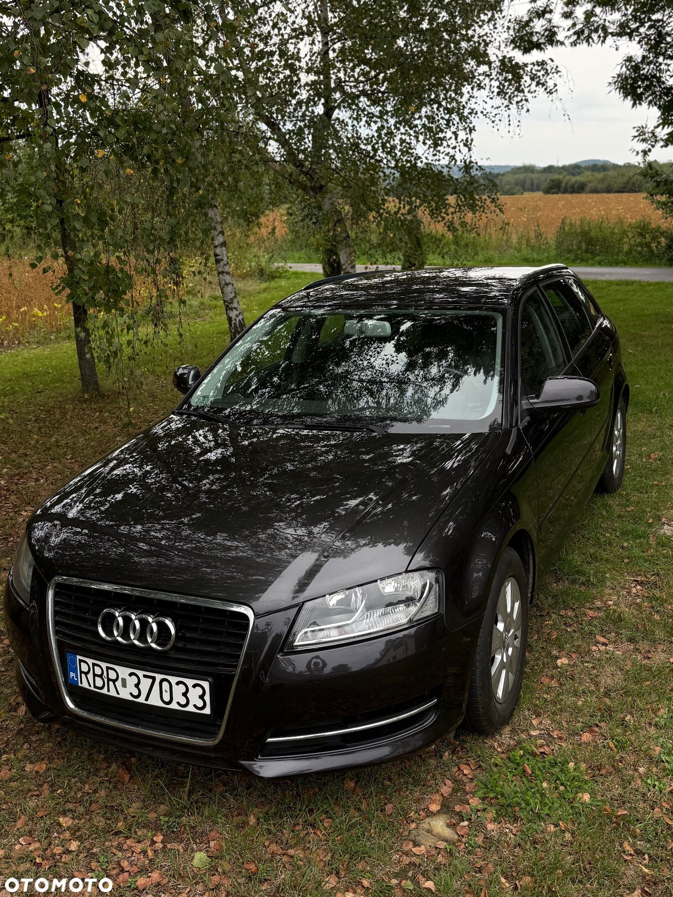 Audi A3 Sportback 1.6 TDI DPF Ambiente - 1