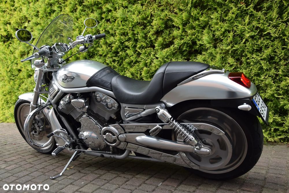 Harley-Davidson Softail V-Rod - 4