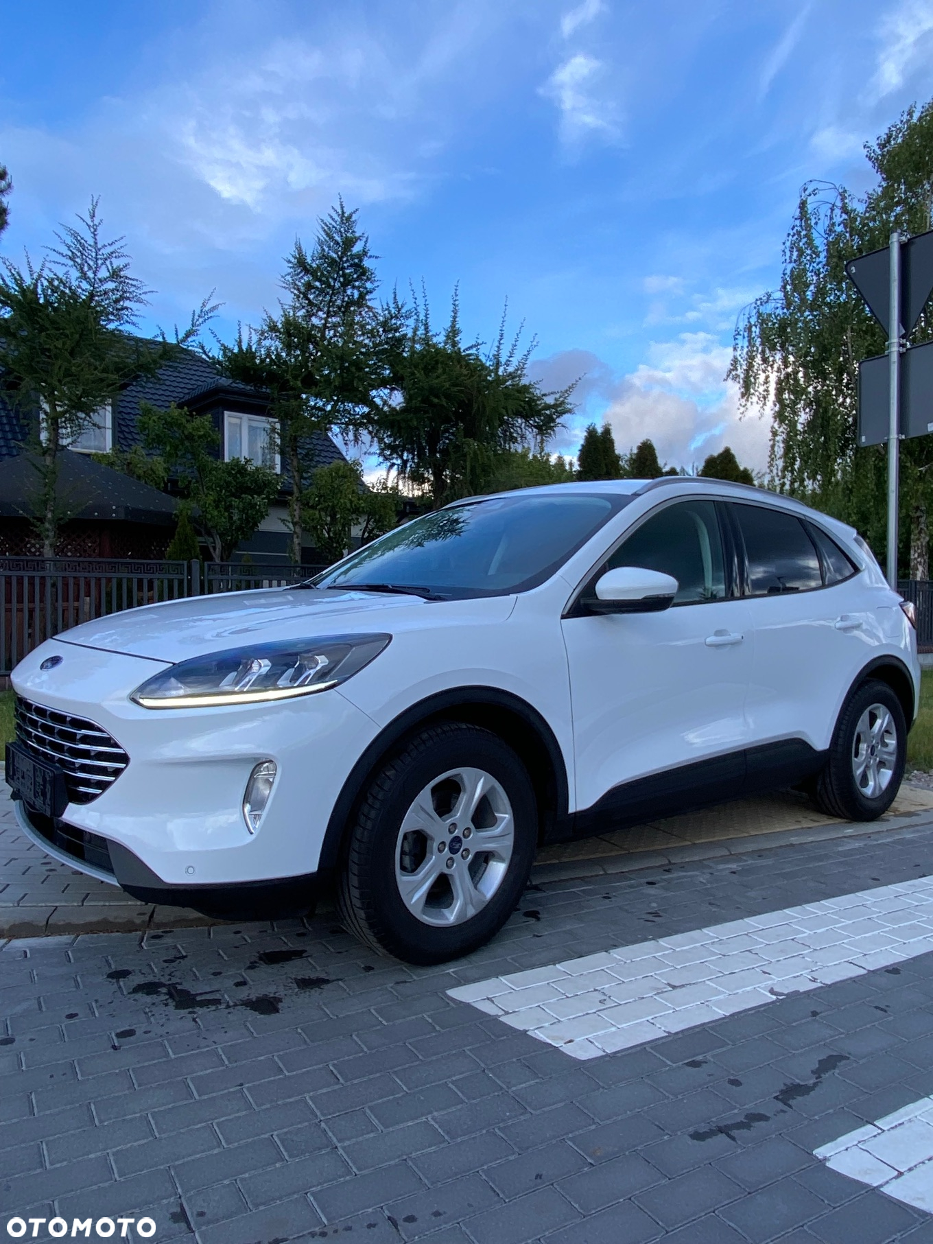 Ford Kuga 1.5 EcoBlue FWD Titanium - 12