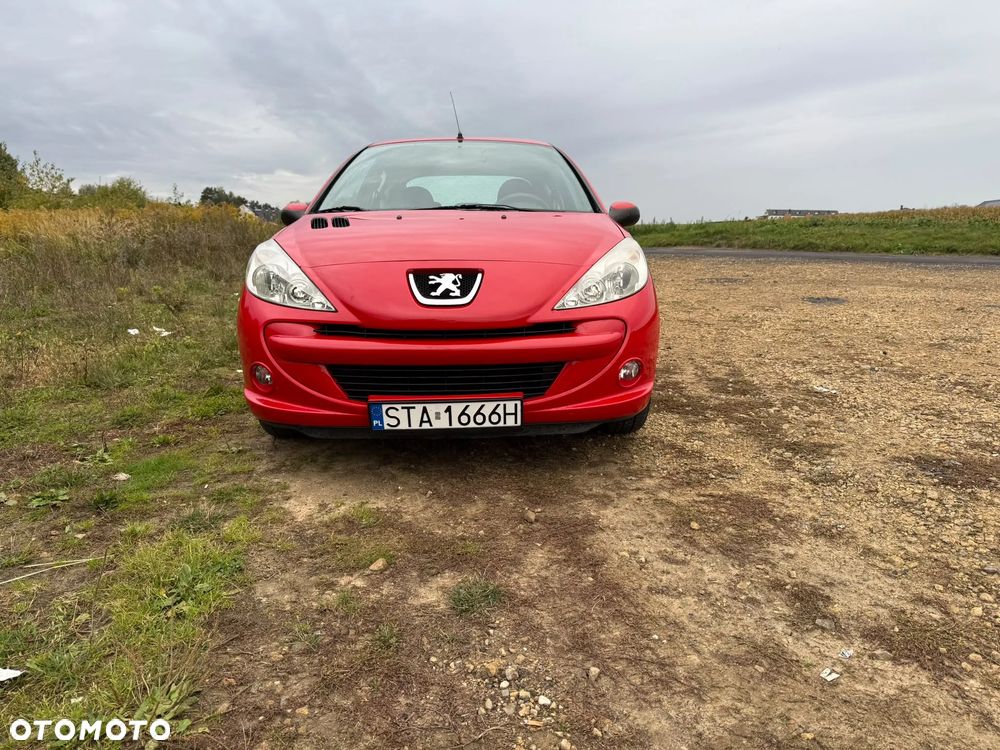 Peugeot 206 - 20