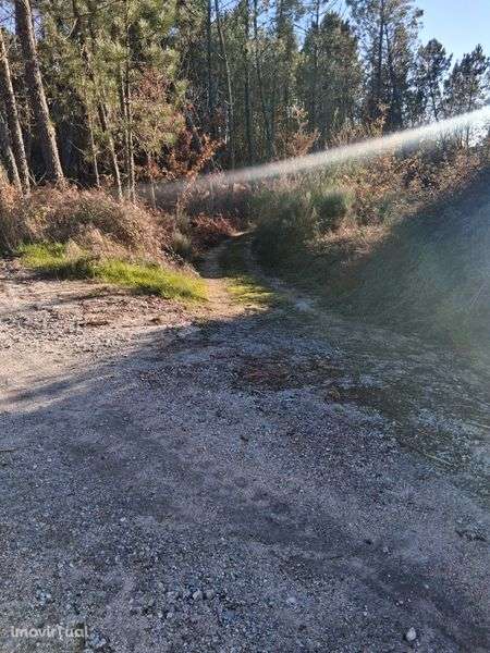 Terreno Rústico agrícola em Ermida Cavernãs - Grande imagem: 3/7