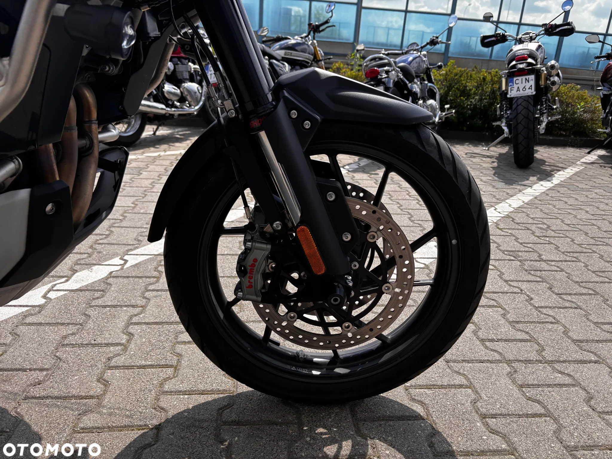 Triumph Tiger - 9