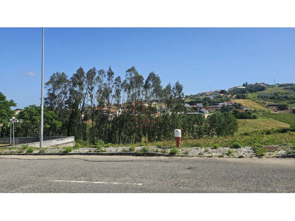 Loteamento / Terreno para Construção / 500 m2 / Casal Novo_ Batalha - Grande imagem: 3/11