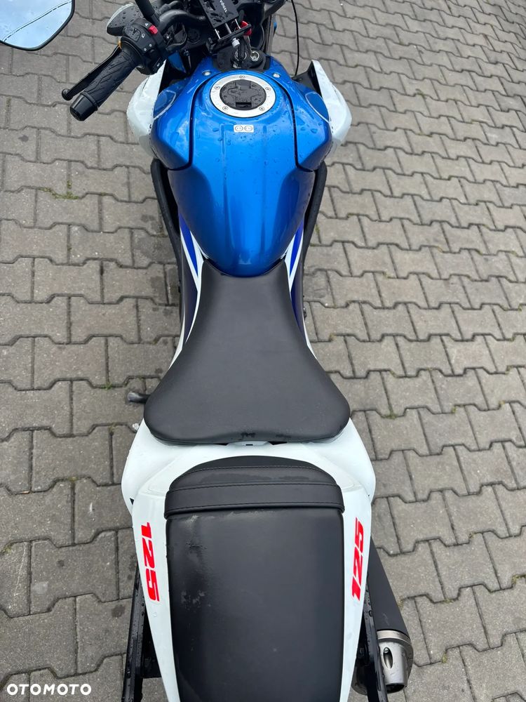 Suzuki GSX - 10