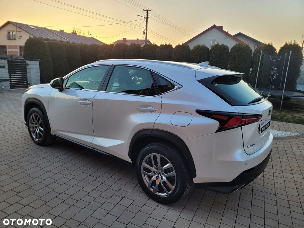 Lexus NX 300 Business Edition AWD - 14