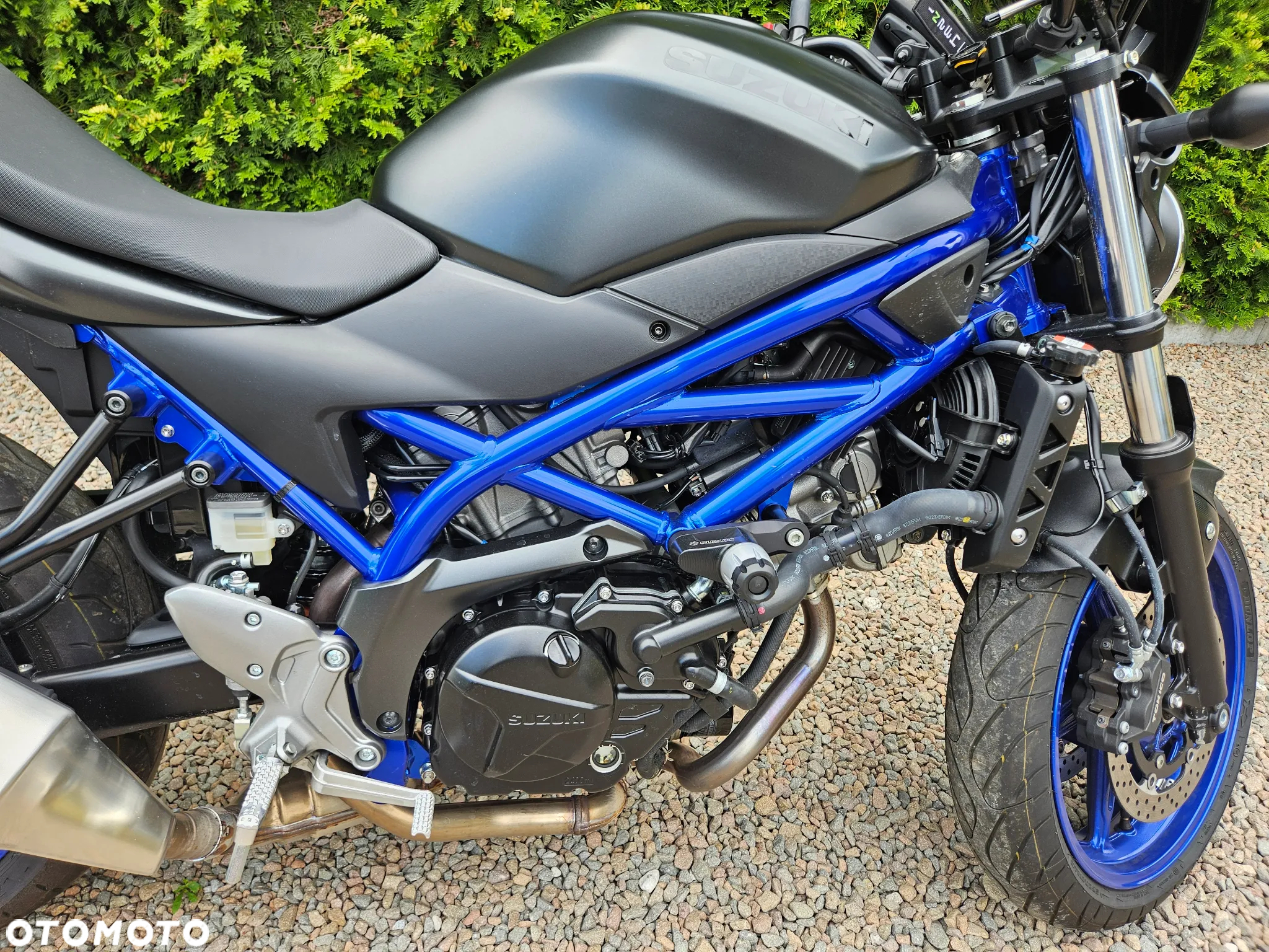 Suzuki SV - 14