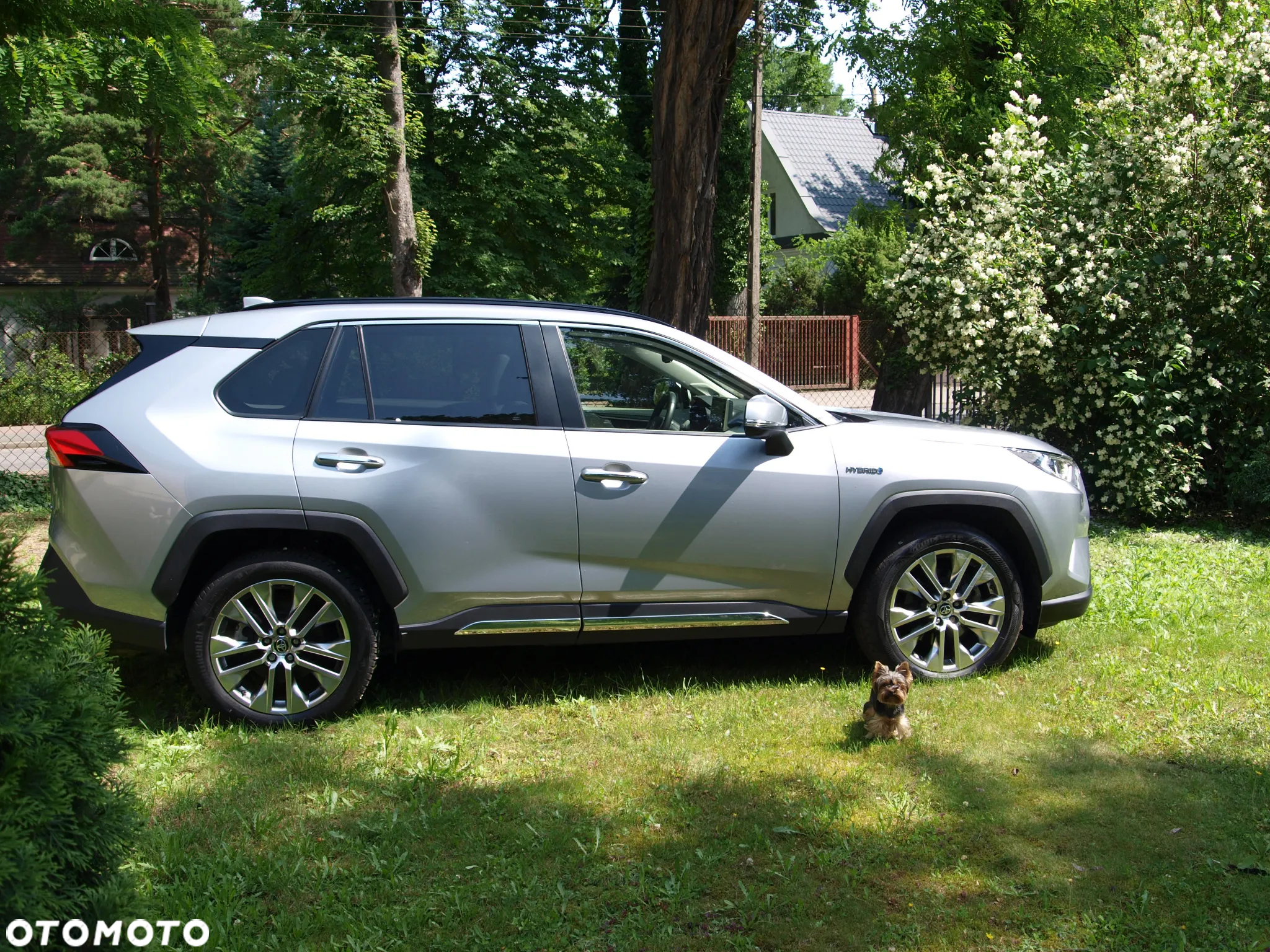 Toyota RAV4 2.5 Hybrid Executive 4x2 - 3