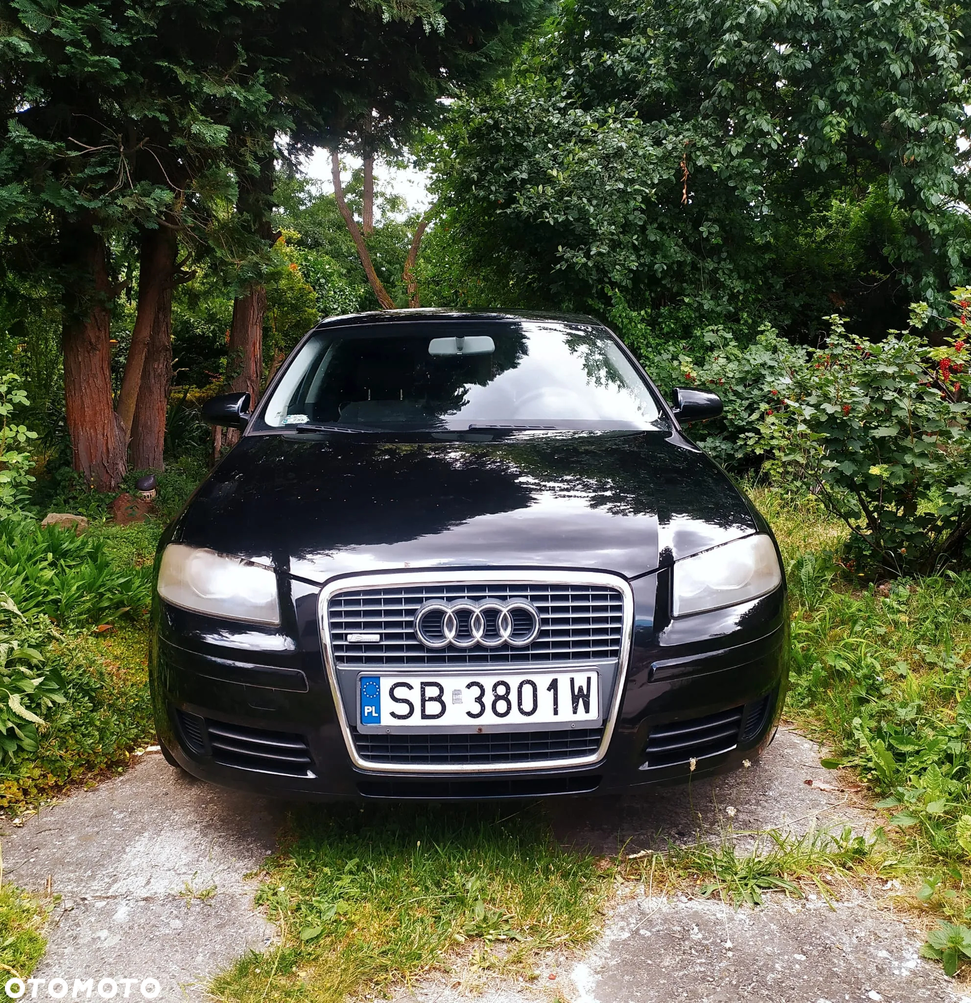 Audi A3 1.6 Ambiente - 3
