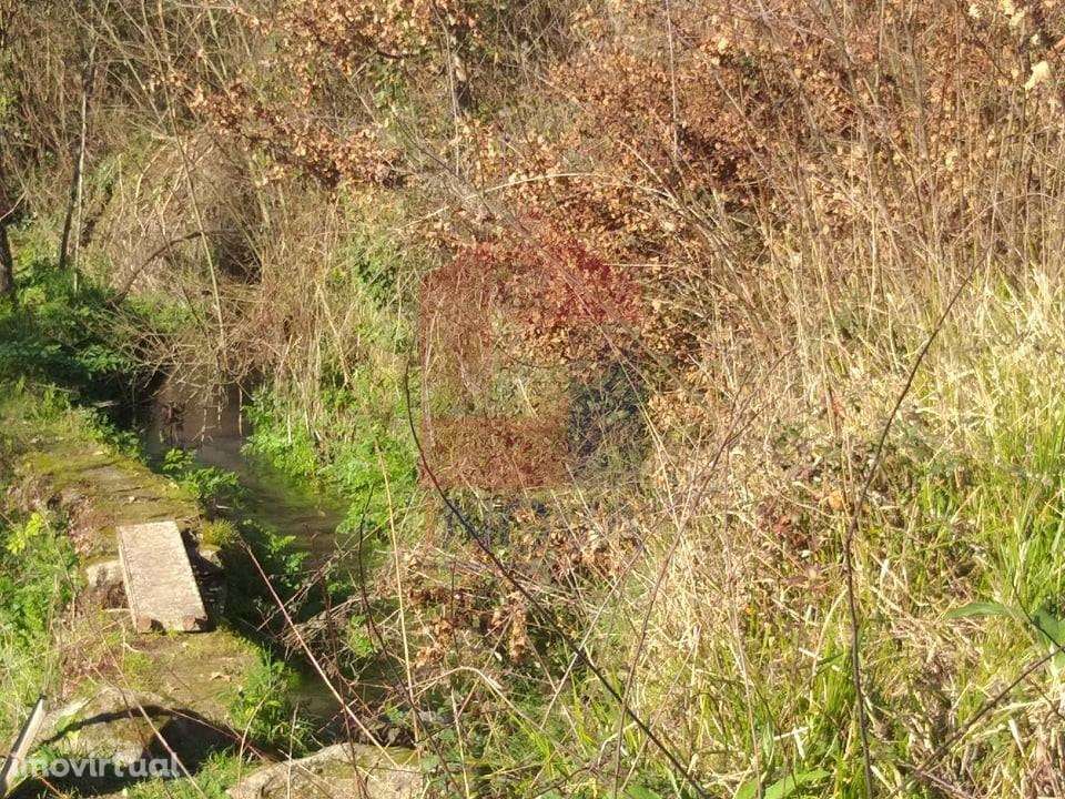 Terreno agrícola, Dossãos - Grande imagem: 5/8