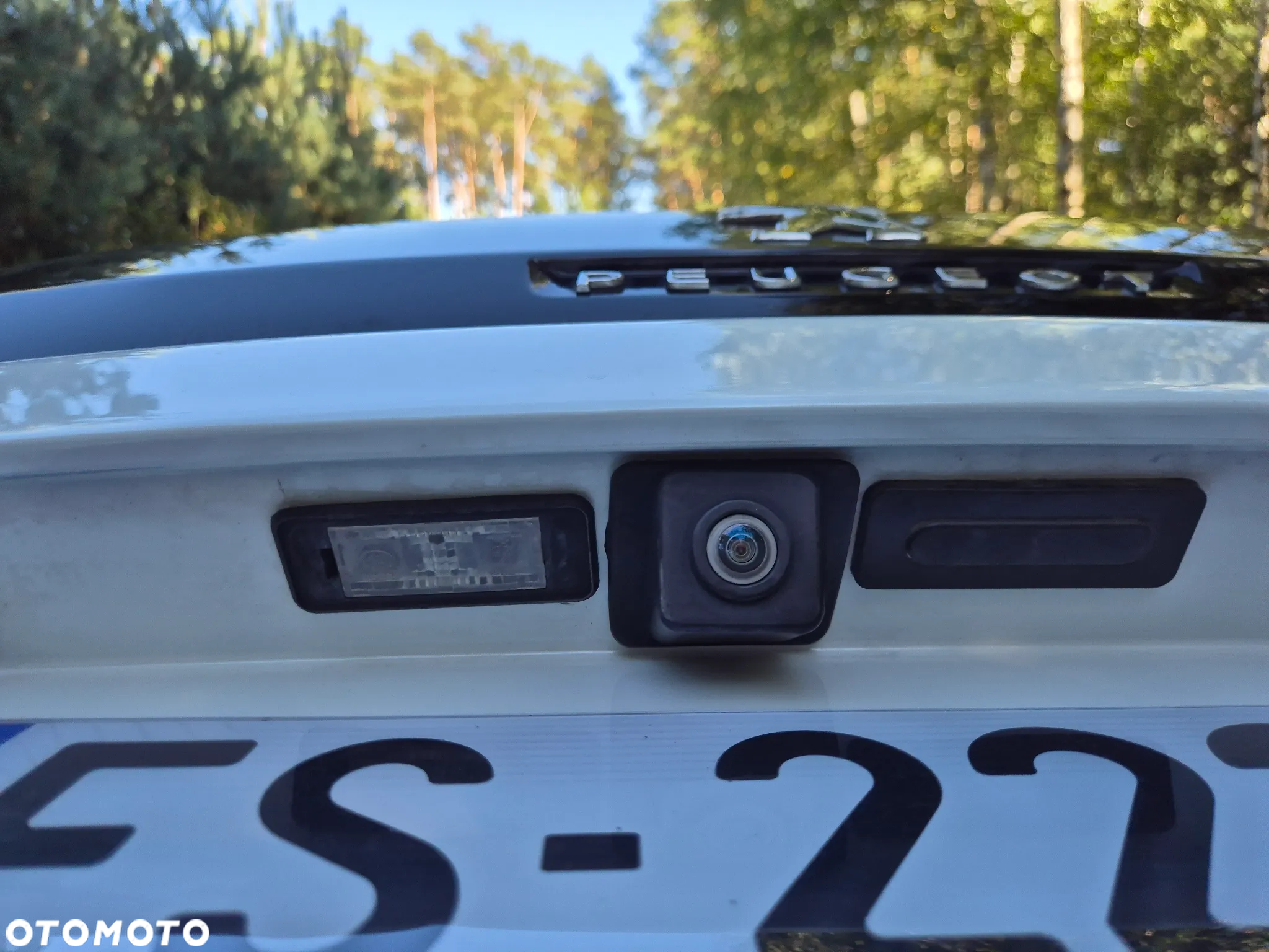 Peugeot 3008 - 22