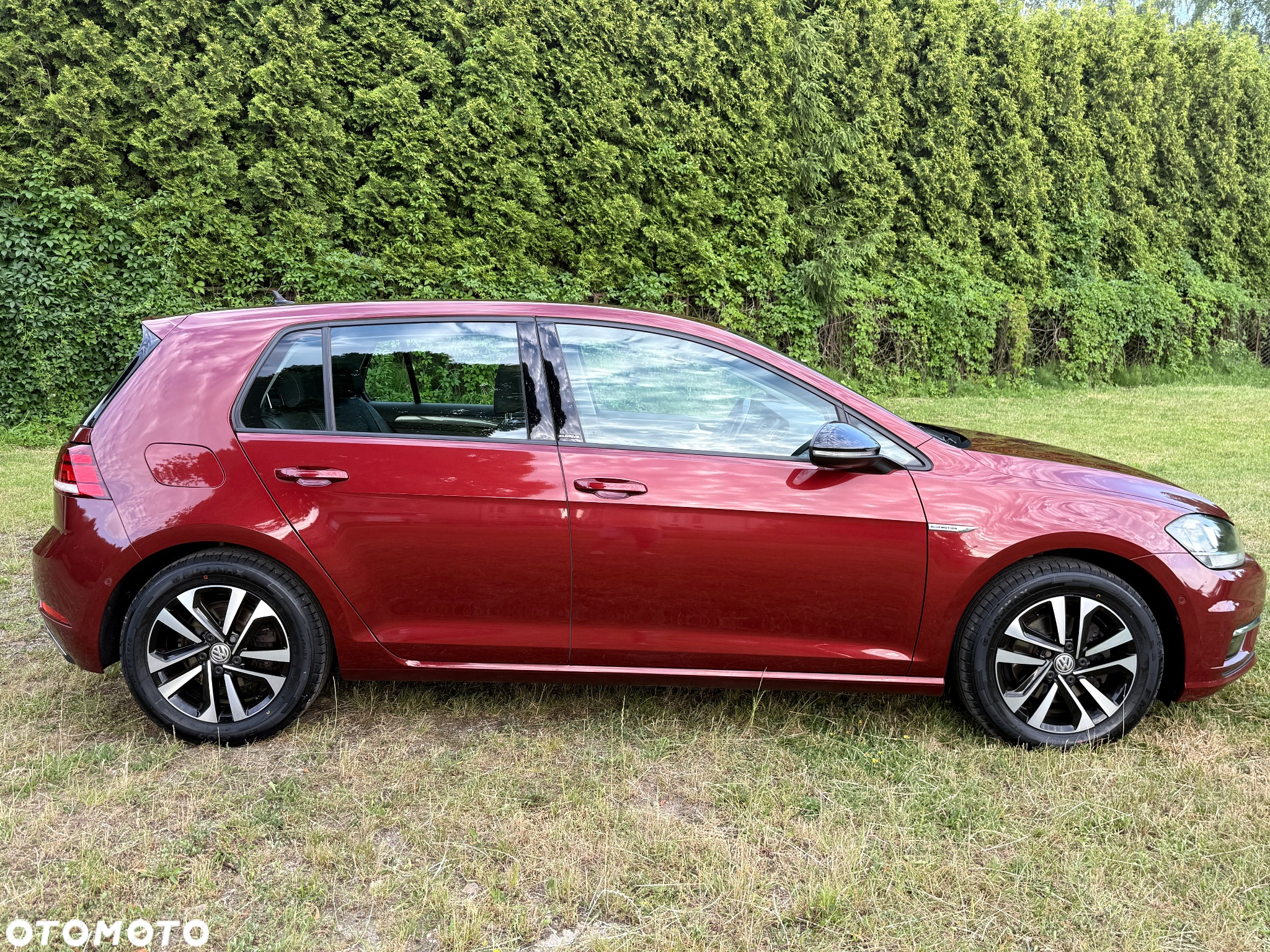 Volkswagen Golf VII 1.5 TSI BMT IQ Drive - 8