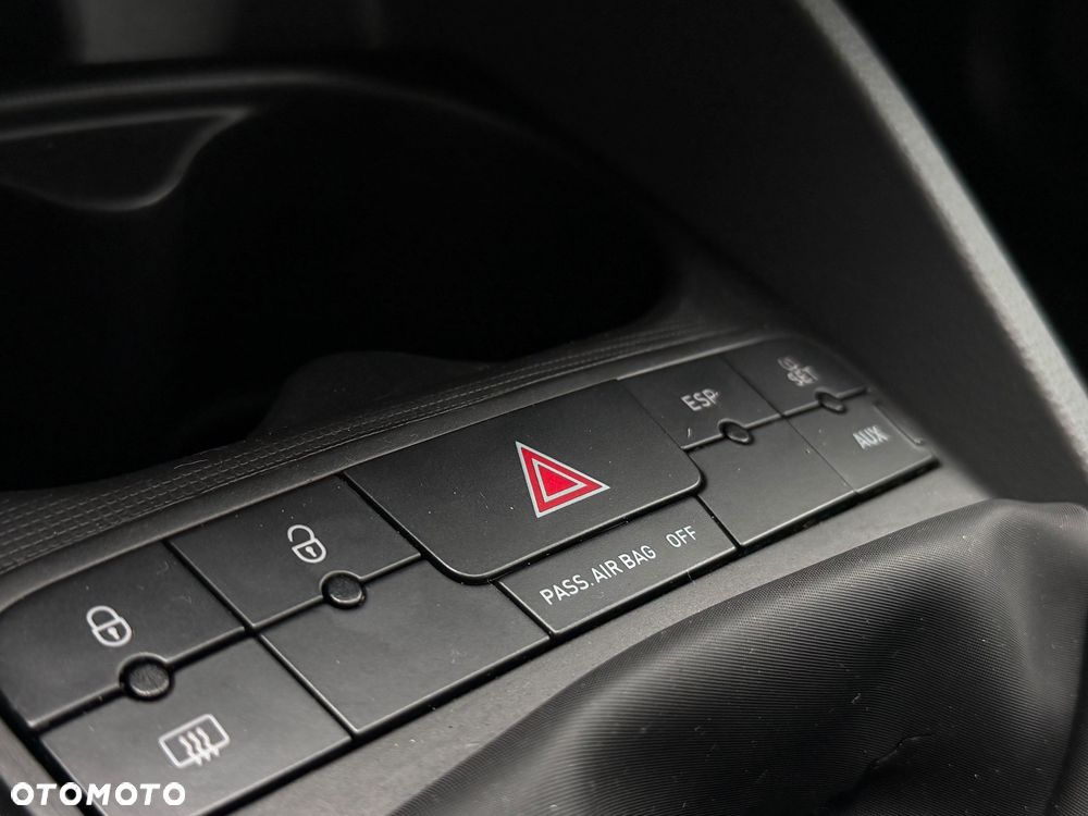 Seat Ibiza - 31