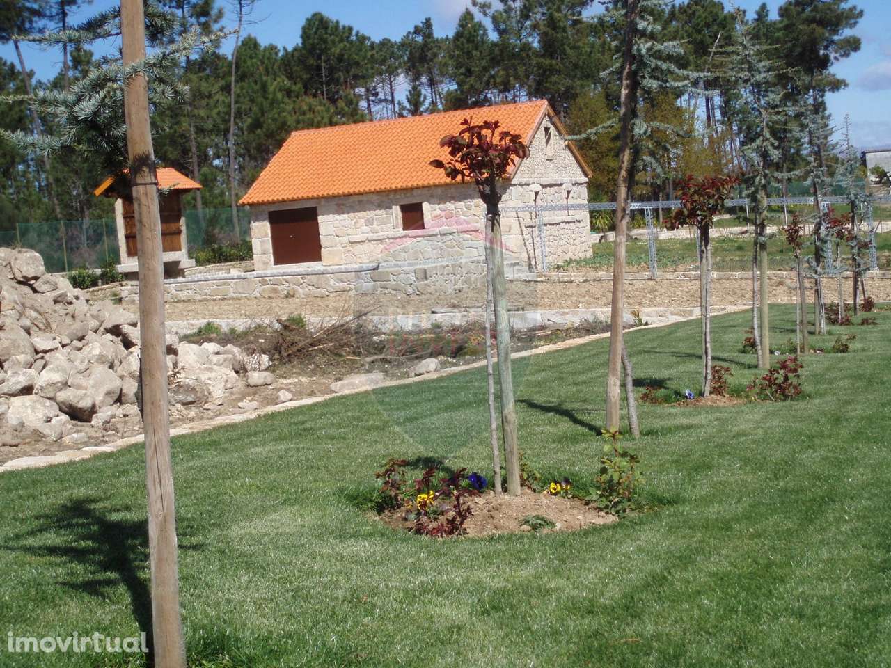 Quinta  Venda em Bodiosa,Viseu - Grande imagem: 2/11