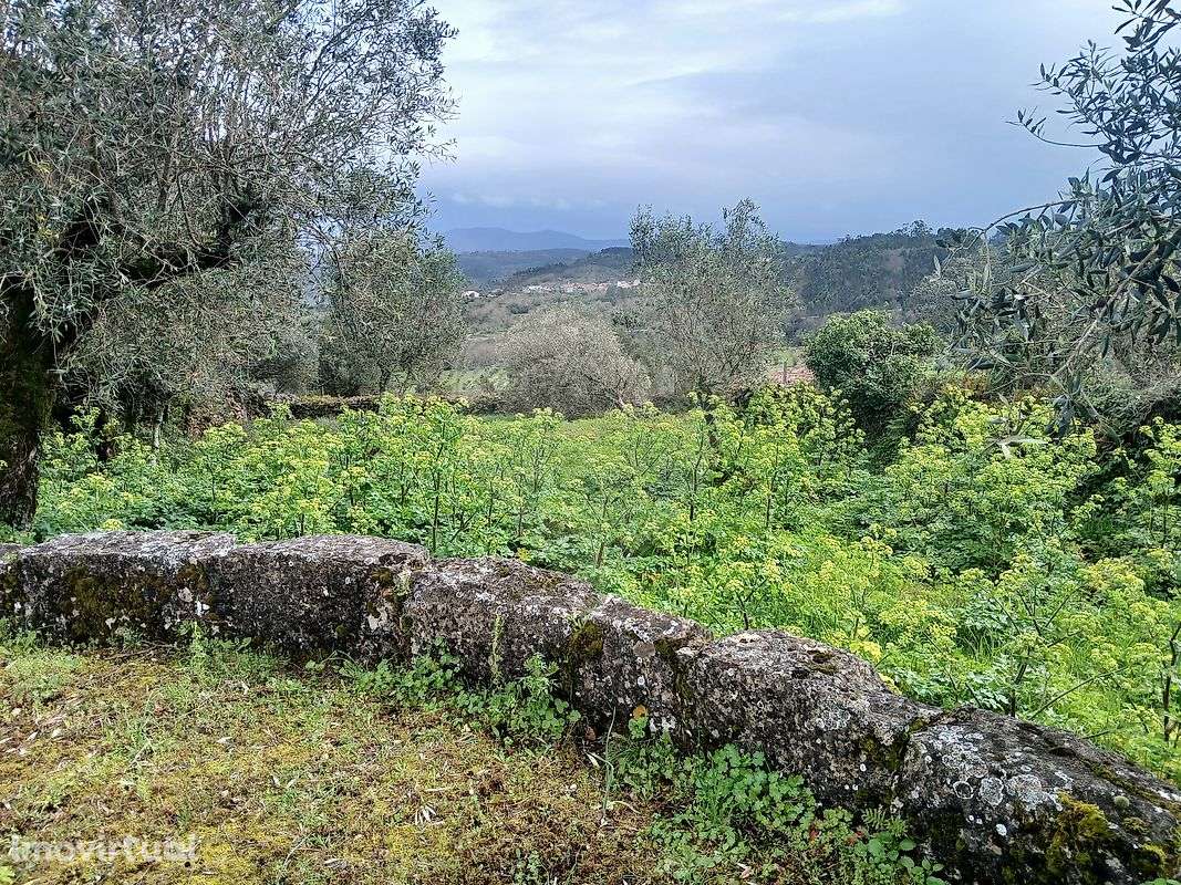 Terreno  para venda - Grande imagem: 3/10