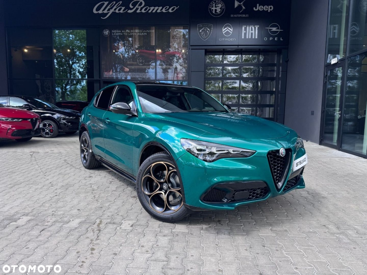Alfa Romeo Stelvio - 5